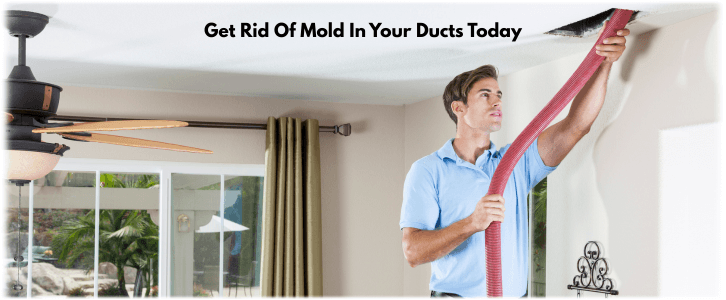 Air Duct Mold Removal in Rockwall TX