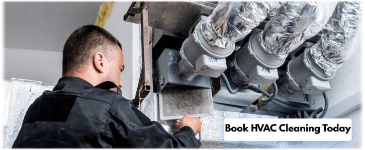 HVAC Mold Removal Rockwall TX